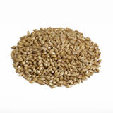 Canada Malting Superior Pale Ale Malt