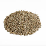Canada Malting Century Rye Malt