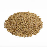 Canada Malting White Wheat Malt