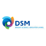DSM Maxinvert - Invertase Solution