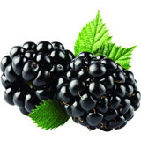 Mane Blackberry Fruit Flavor - Natural