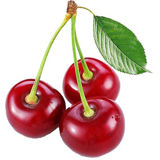 Mane Cherry Fruit Flavor - Natural
