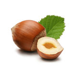 Mane Hazelnut Fruit Flavor - Natural & Artificial