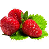 Mane Strawberry Fruit Flavor - Natural