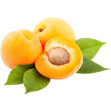 Oregon Fruit Puree - Apricot