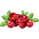 Oregon Fruit Puree - Cranberry