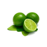 Oregon Fruit Puree - Key Lime