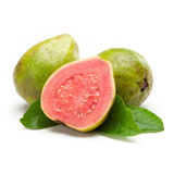 Oregon Fruit Puree - Pink Guava
