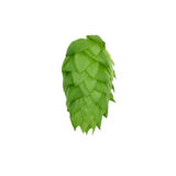 Resinate Hop Extract - Chinook