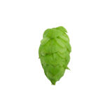 Whole Cone Hops - Citra