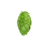Resinate Hop Extract - Mosaic