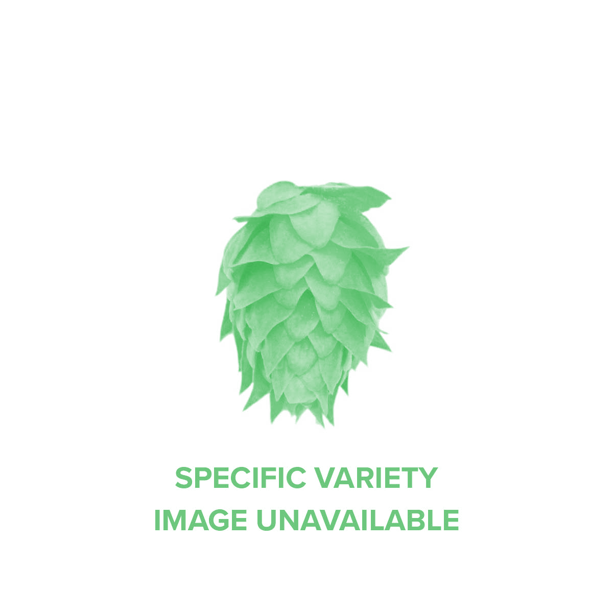 T90 Hop Pellets Zythos Blend