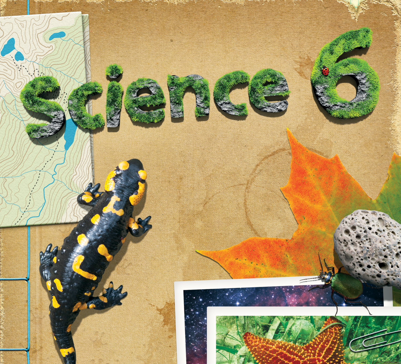 Science 6