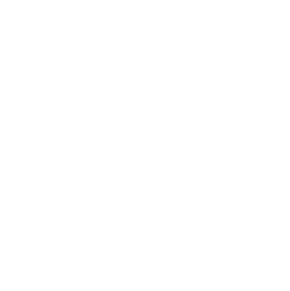 Connections icon