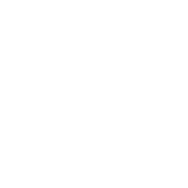 Conversation icon