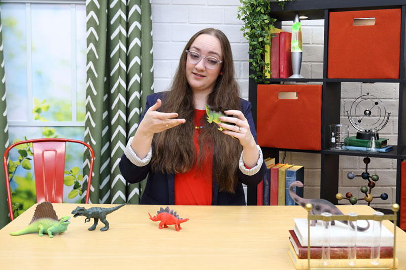 video course screenshot