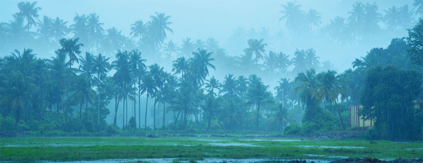 a tropical landscape during a monsoon