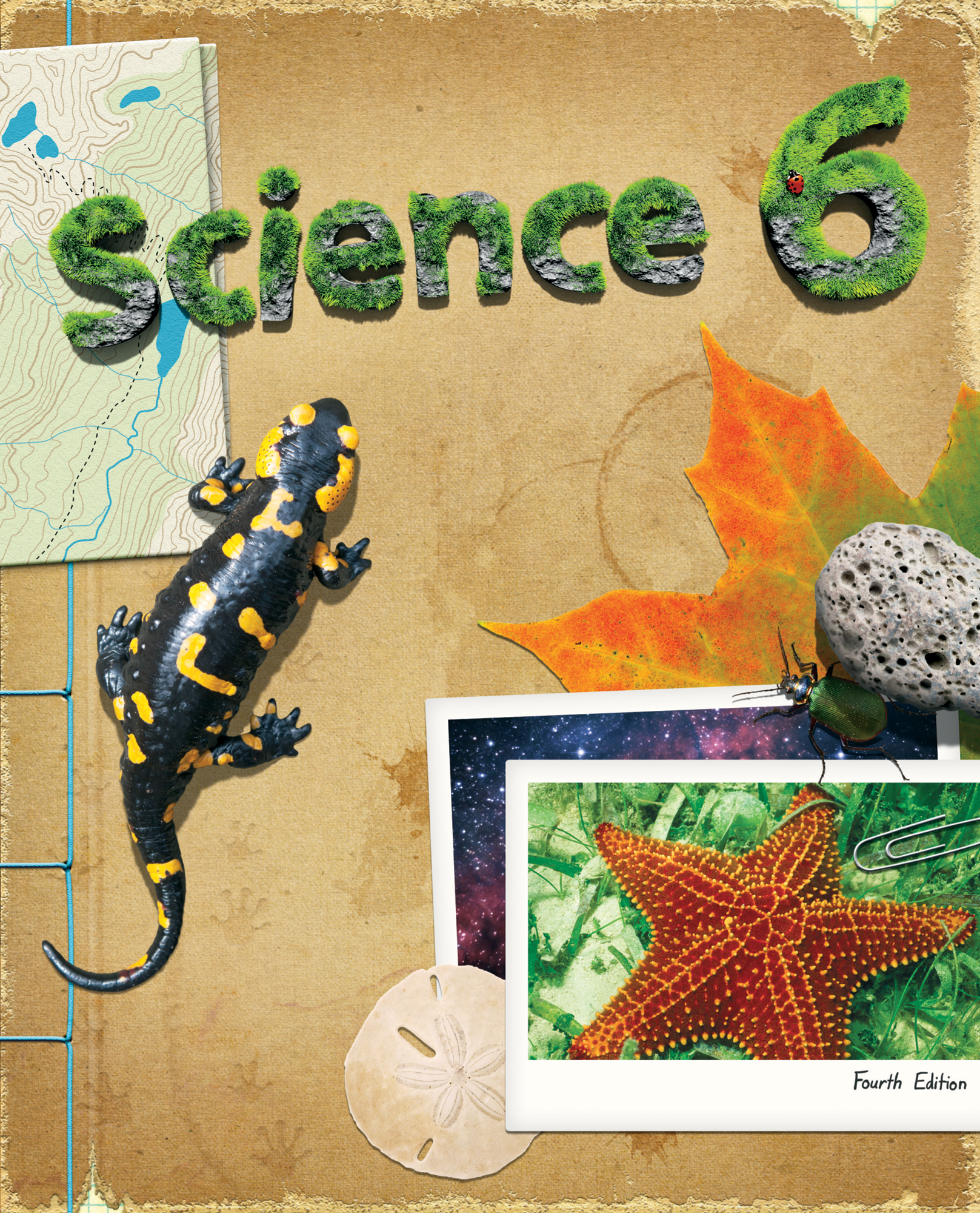 Science 6 Student Text, 4th ed. | BJU Press Homeschool